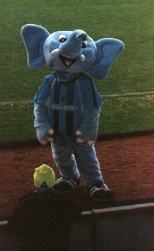 Sky Blue Sam